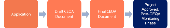 Project CEQA flow graphic